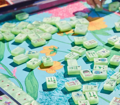 Luxury Fruit Green Crystal Acrylic American Mahjong Set 160 Tiles Home Game