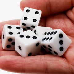 WE Games 4 Plastic Dice Cups, 20 Dice, Instructions for Liar’s Dice and 10 Games