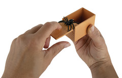 World’s Smallest SPIDER BOX Scare Prank