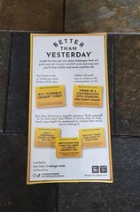 Better Than Yesterday 365 Daily Challenges Life Fullfilling Game Meme NEW Sealed