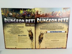 Dungeon Petz board game – Czech Games Edition – Used – Complete