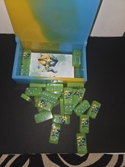 Dominoes Set Custom Artwork Strategy Theme ‘Don’t Judge What U Don’t Understand’