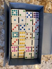 Double Nine Domino Set Color Dot ’92 Pavilion 55 Pc Gray Vinyl Case instructions