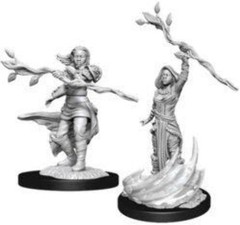 D&D Nolzur’s Marvelous Miniatures – Male Human Paladin