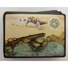North Star Games Evolution – The Beginning Board Game 100% Complete Homeschool