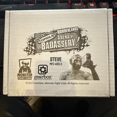 borderlands: mister torque’s arena of badassery Steve