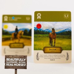 Family Card Game – Cozy Board Game for Kids & Adults, Unique Horses, 1-5 Players