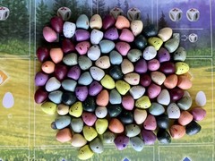 Stonemaier Games: Wingspan Speckled Eggs | Add to Wingspan (Base Game or Asia…
