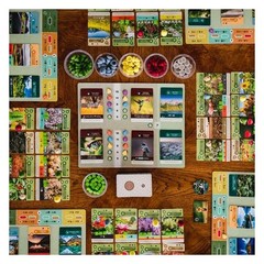 Inside Up Games Game Of The Year Building Card Drafting Action Amazing Natural
