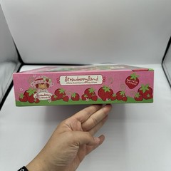 Strawberryland Box & Instructions ONLY REPLACEMENT Strawberry Shortcake