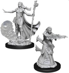 D&D Nolzur’s Marvelous Miniatures – Male Human Paladin