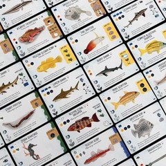 Finspan: Sharks & Reefs Expansion Board Game by Stonemaier