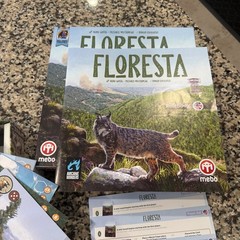 Floresta Board Game Arcane Wonders Mebo Strategy Nature Forest Management New