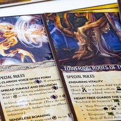 Spirit Island Nature Incarnate Expansion Cooperative Board Game Adventure