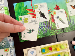 : Wingspan Americas Expansion by Elizabeth Hargrave | Add to Wingspan | Includes