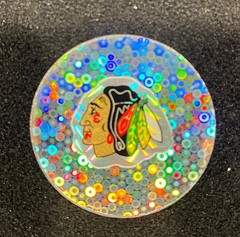 Chicago Blackhawks (white Feather) NHL Team Logo Metal Pog Slammer Silver Glitte
