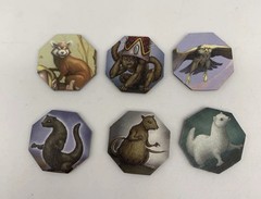 Descent Journeys in the Dark REPLACEMENT CARDS & TOKENS ONLY See Description