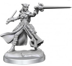 WZK 75020 – Dungeons & Dragons Frameworks: W01 Tiefling Rogue Female