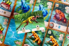 Pondscape Board Game with Wooden Frog Promo by Capstone Games NEW in Shrink