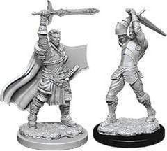 D&D Nolzur’s Marvelous Miniatures – Male Human Paladin