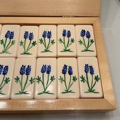 HANDPAINTED TEXAS BLUEBONNETS Extra Thick DOMINOES Texas Imagineering