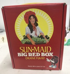 Sun Made California Raisins Big Red Box Fun Kit – Figures,toys,funbook, Games