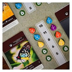 Inside Up Games Game Of The Year Building Card Drafting Action Amazing Natural