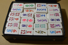 PUREMCO Dominoes Professional 91 Tiles in case Family Game Adult Teen Game