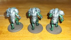 FFP Shadows of Brimstone Trun Hunters Enemy Pack – PAINTED