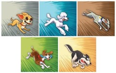 Zoomies – Fast-Paced Dog Walking Family Card Board Game Fun for All Ages Quic…