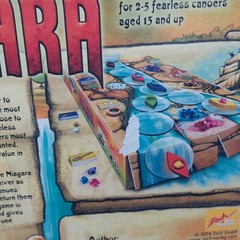 Niagara Family Board Game COMPLETE EXCELLENT SHAPE Rio Grande Games 2004 READ