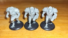 FFP Shadows of Brimstone Trun Hunters Enemy Pack