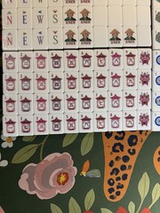 Olive Green 4 Layer Acrylic American Mahjong Tiles set