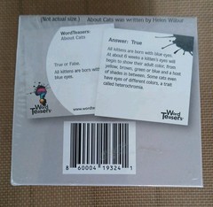 About Cats Word Teasers Factory Sealed Trivia