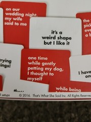 That’s What She Said Board Game Twisted Party Game 2016 Party In A Box