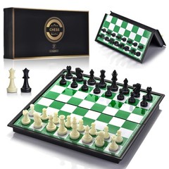 Chess Set with Folding Chess Board 2 Extra Queens Convenience Bag Educational