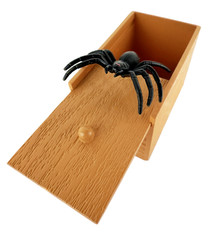 World’s Smallest SPIDER BOX Scare Prank