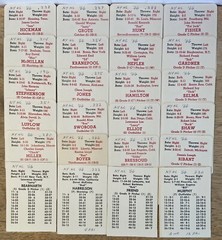 Original APBA 1966 New York Mets Team Set of 24 Cards – Kranepool – Grote Etc.