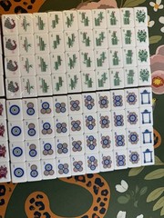 Olive Green 4 Layer Acrylic American Mahjong Tiles set
