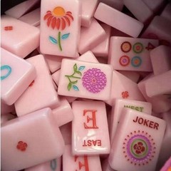 Pink Chic Pink Floral Single Layer Acrylic American Mahjong Set 160 FREE SHIP