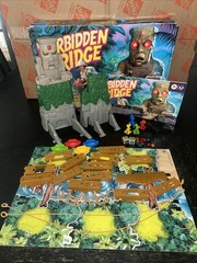 Hasbro Forbidden Bridge Board Game 99% Complete 2021 Missing 2 Gems Excellent