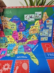 Great States Board Game Trivia Geography 2-6 Player 7+ Years
