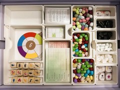 Organizer Only – Wingspan Nesting Box
