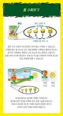 Bohnanza Board Game Korean KOREA BORAD GAMES