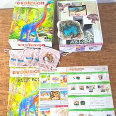 North Star Games Evolution: The Beginning Board Game, Counted And Complete Game