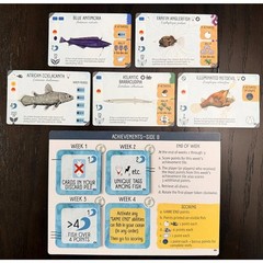 Finspan: Sharks & Reefs Expansion Board Game by Stonemaier