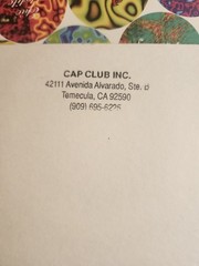 10 Sheets UnPunched Pogs Milk Caps Game Cap club, presidents + bonus boards