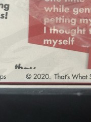 2020 Adult Party Game “That’s What She Said” – Ages 17+