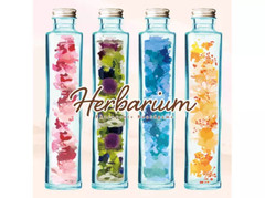 Herbarium 2-5 players 20-30 mins Set Collection Board Game Sai Beppu New Japan