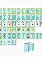 4-Layer Acrylic American Mahjong Set 160Pcs Ocean Shell Engraved Tiles fast ship